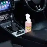 master-roll-bamboo-car-tissues-12-pack-in-car Master Roll bamboo car tissues 12 pack inside a car