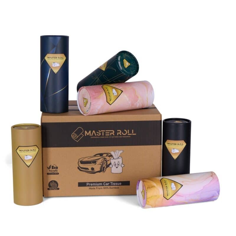 Soft and absorbent Master Roll bamboo car tissues 12 pack