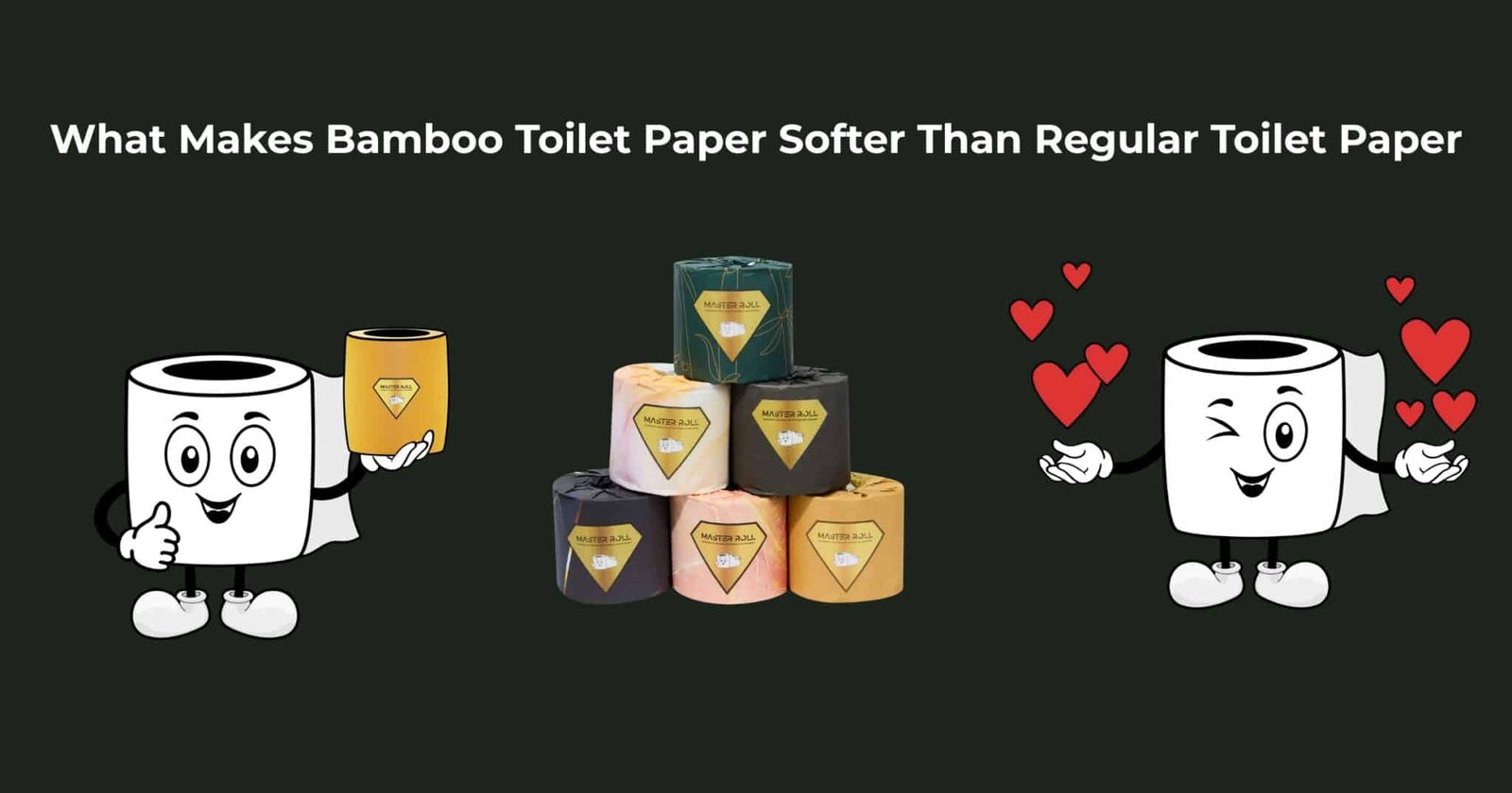 What Makes Bamboo Toilet Paper Softer Than Regular Toilet Paper-Master Roll
