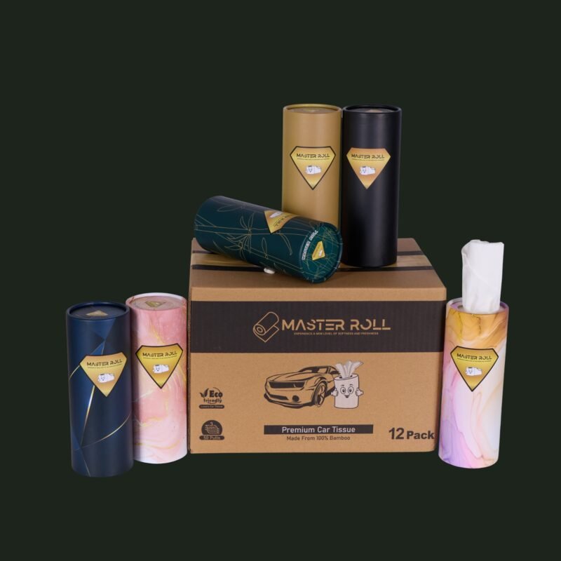 Master Roll bamboo car tissues 12 pack Eco Friendly Facial Tissue